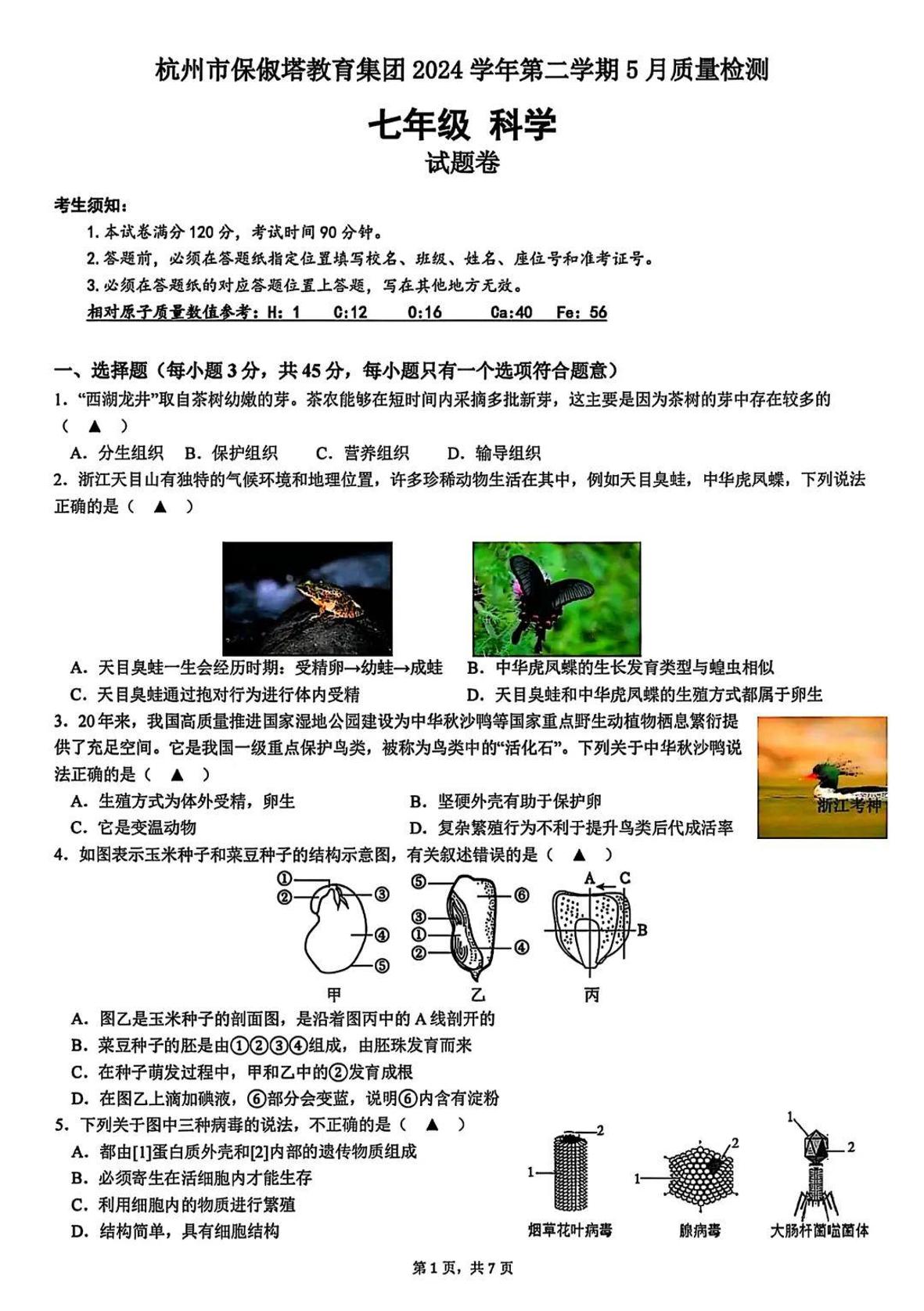 2025年5月杭州市保俶塔教育集团七下科学月考卷试题和答案