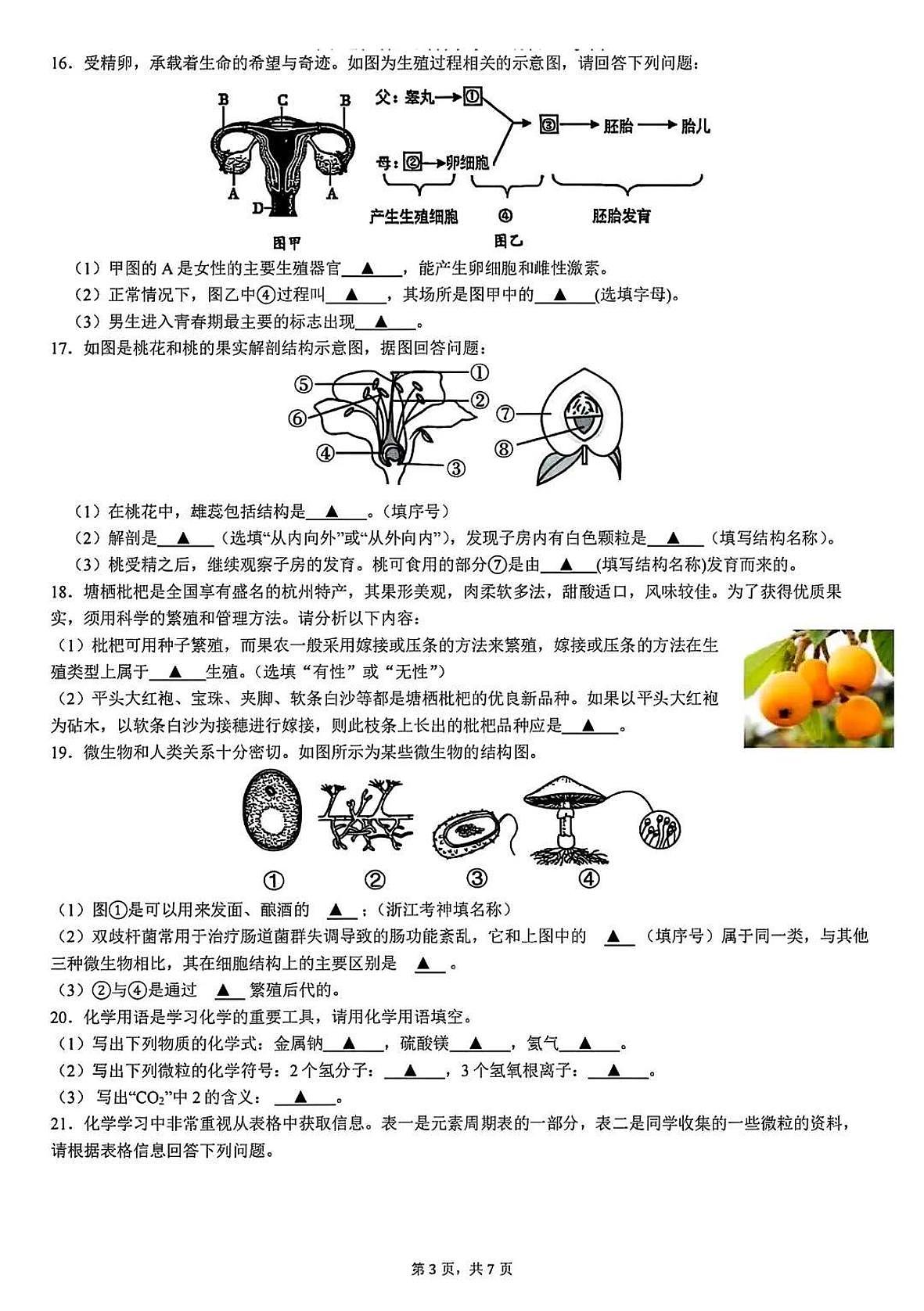 2025年5月杭州市保俶塔教育集团七下科学月考卷试题和答案第3页