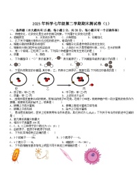 2024-2025学年浙教版七年级下册科学期末测试卷