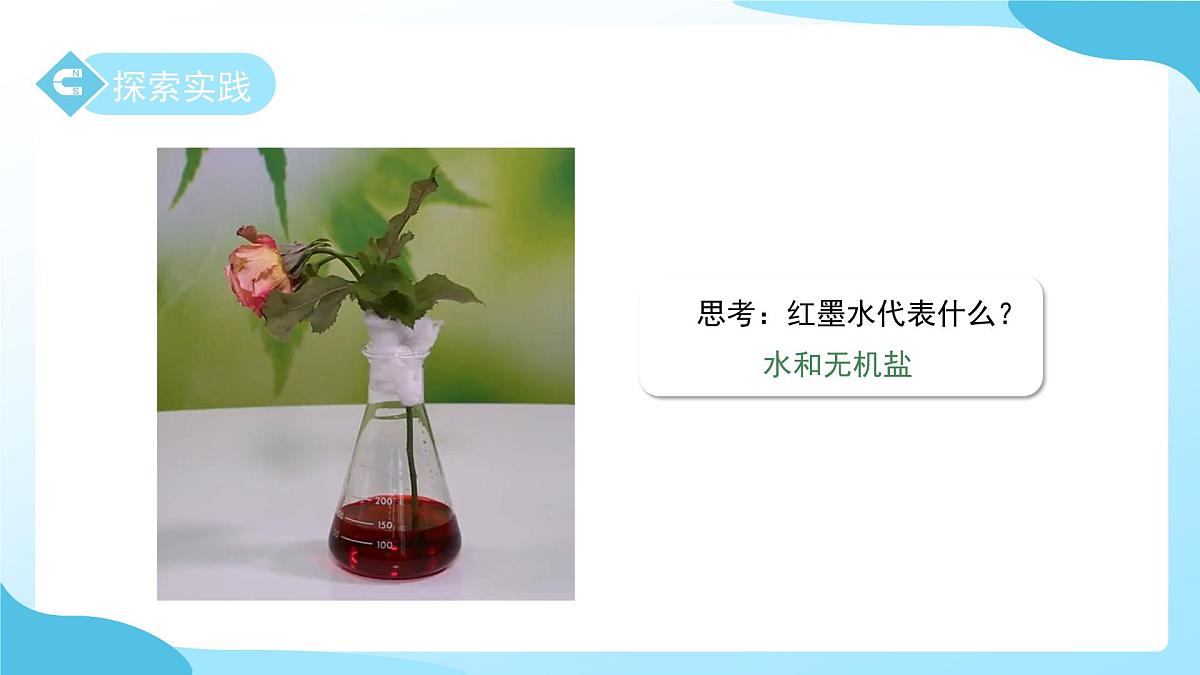 第3节 土壤与植物生长 第4课时 课件第8页
