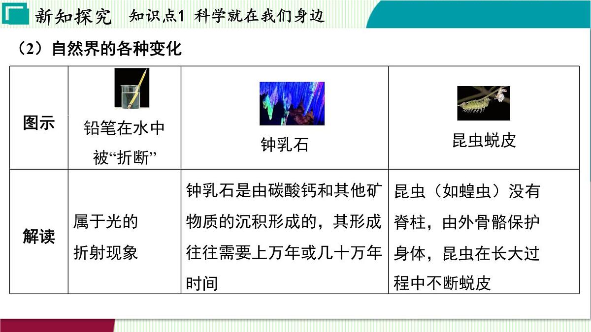 浙教科学2024七年级上册 第1章 第1节 科学并不神秘 PPT课件第6页