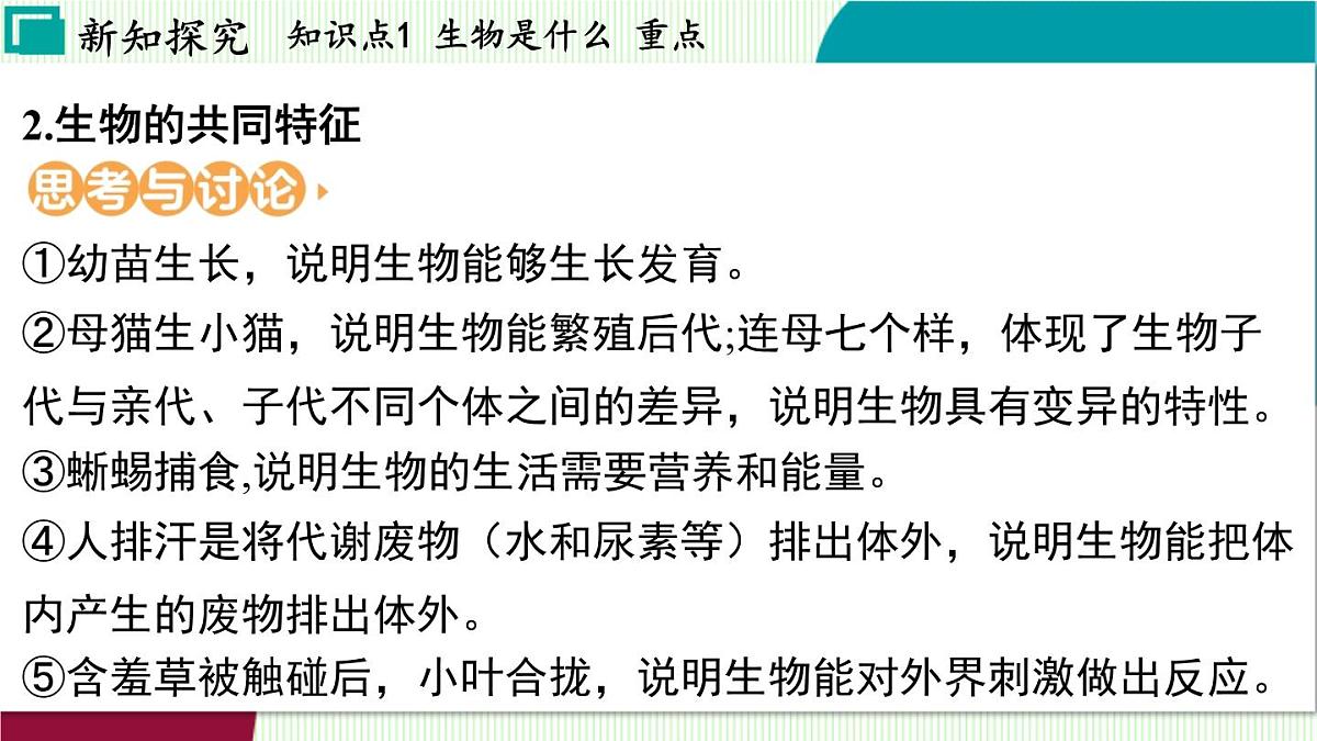 浙教科学2024七年级上册 第2章 第1节 生物体的基本单位 PPT课件第6页