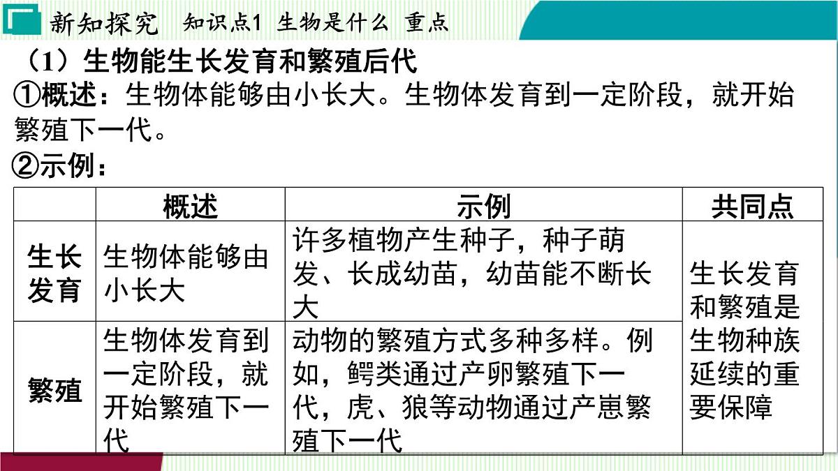 浙教科学2024七年级上册 第2章 第1节 生物体的基本单位 PPT课件第7页