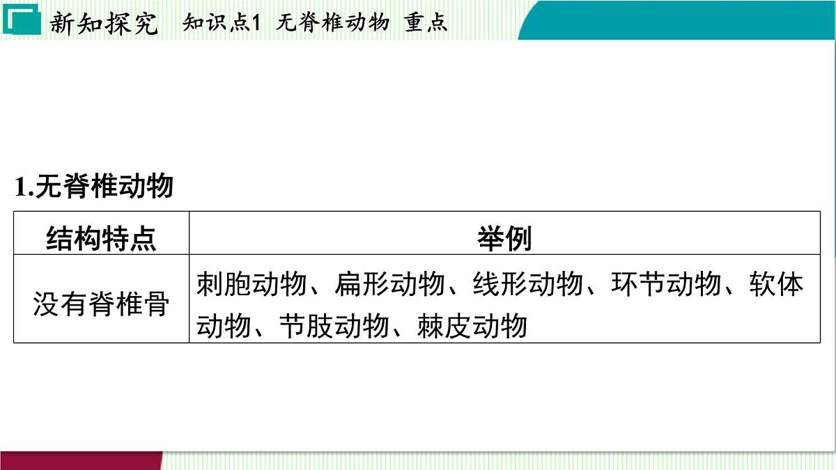 浙教科学2024七年级上册 第2章 第3节 多姿多彩的动物 PPT课件第4页