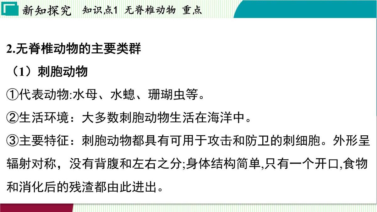 浙教科学2024七年级上册 第2章 第3节 多姿多彩的动物 PPT课件第5页