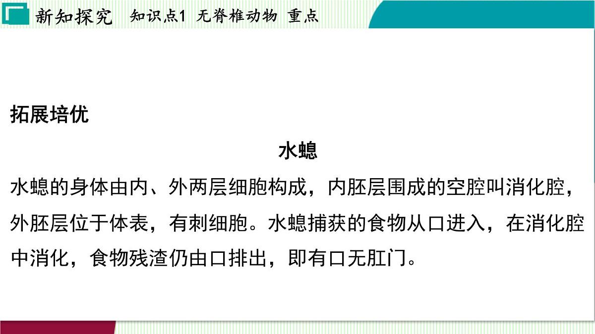浙教科学2024七年级上册 第2章 第3节 多姿多彩的动物 PPT课件第6页