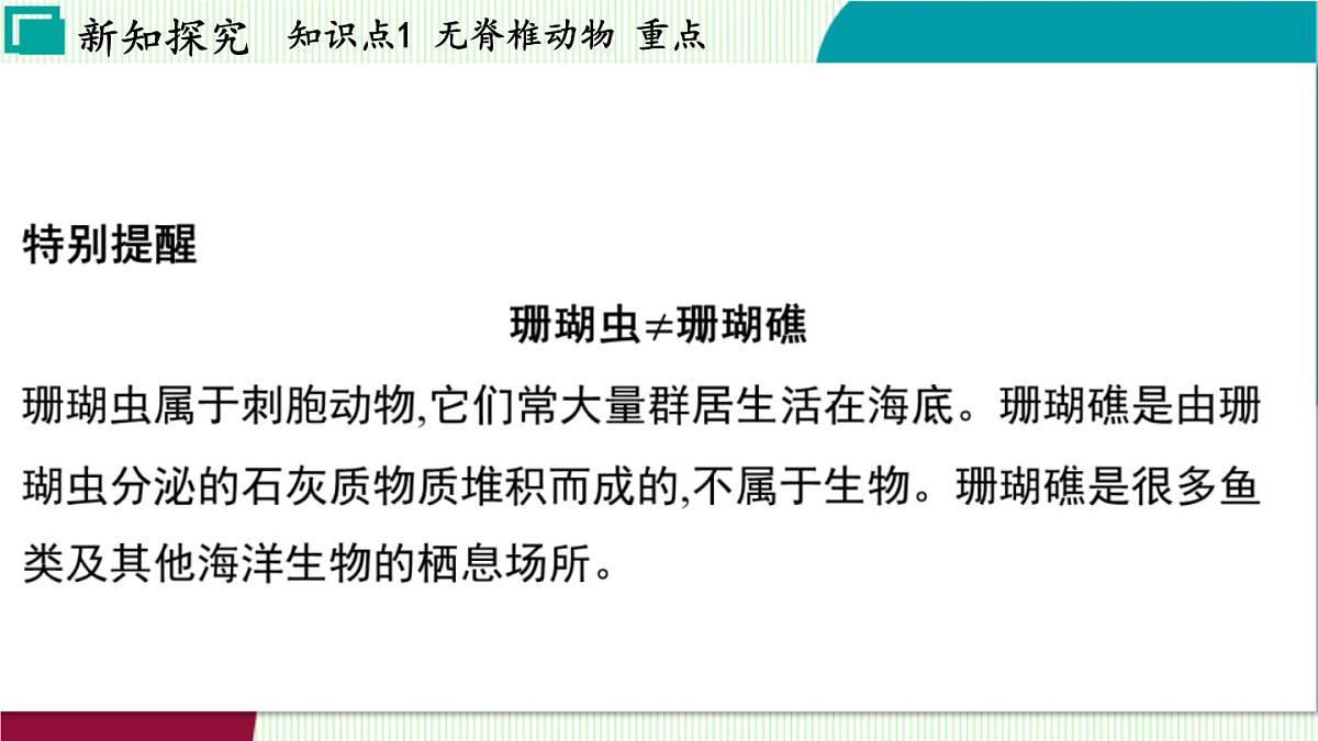 浙教科学2024七年级上册 第2章 第3节 多姿多彩的动物 PPT课件第7页