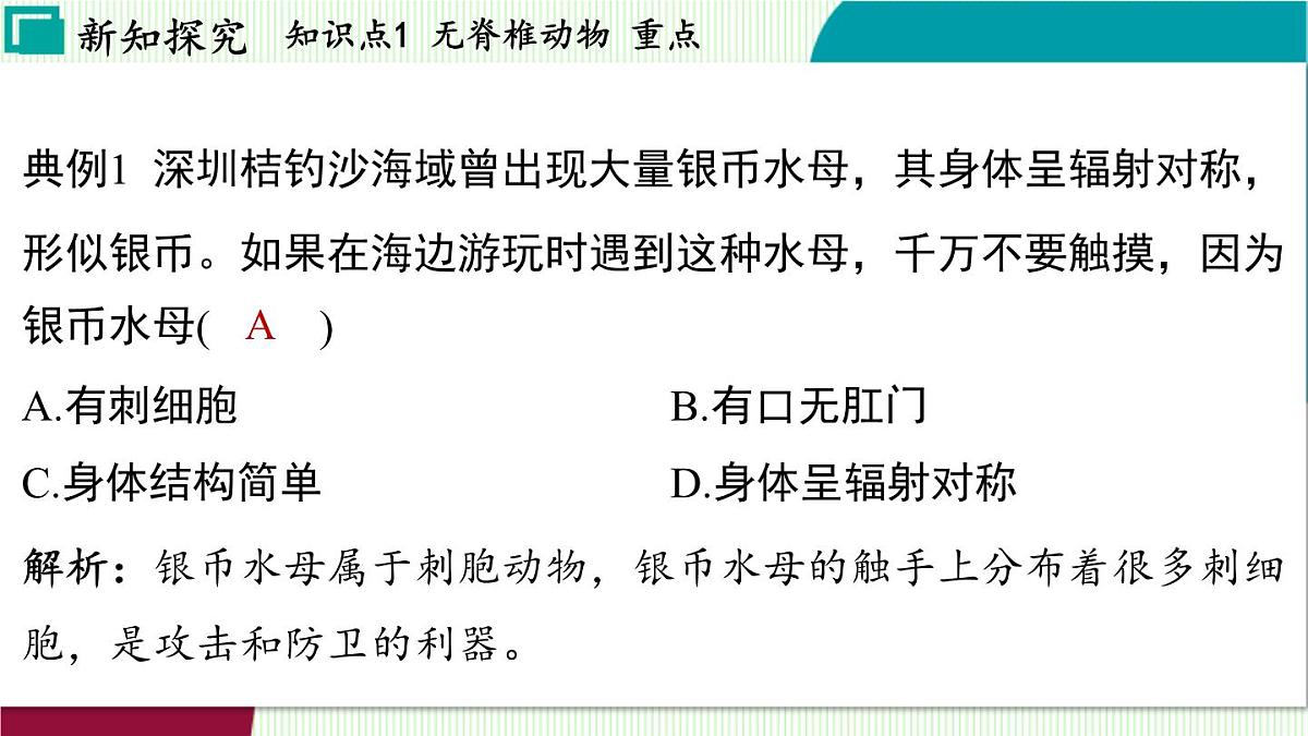 浙教科学2024七年级上册 第2章 第3节 多姿多彩的动物 PPT课件第8页