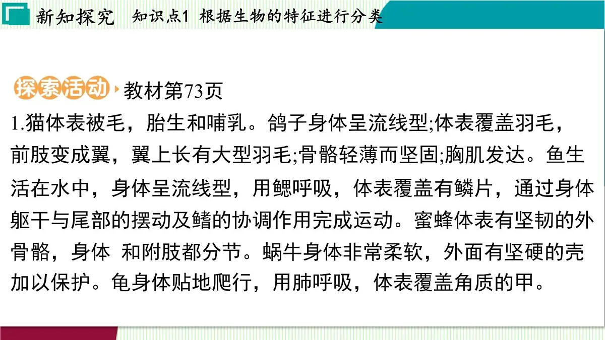 浙教科学2024七年级上册 第2章 第4节 生物的分类 PPT课件第8页