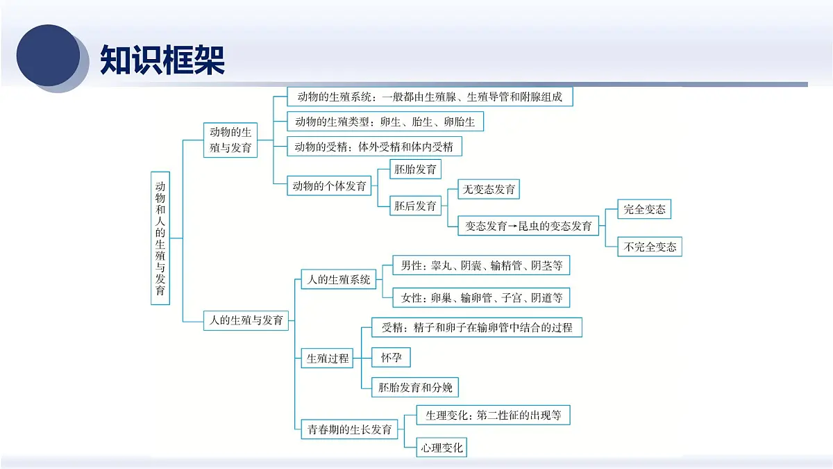 11.动物(人)的生殖-2025年中考科学浙江省统考专题模块复习课件第2页