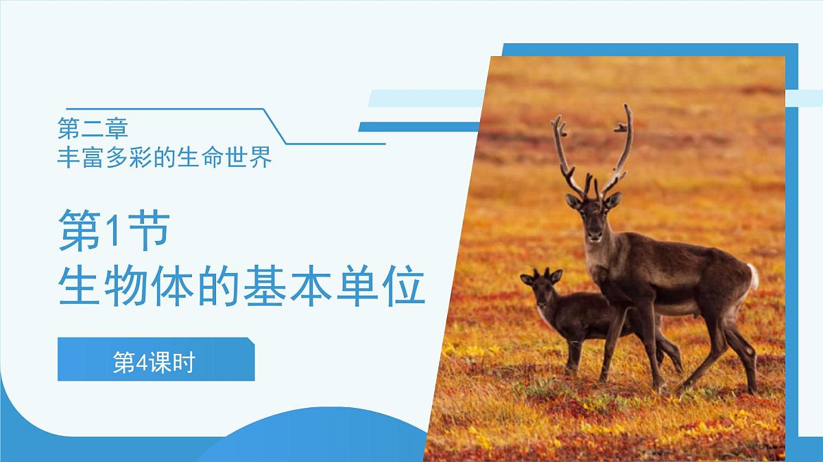 (新课标)初中科学浙教版七年级上册2.1 生物体的基本单位 第4课时课件第1页