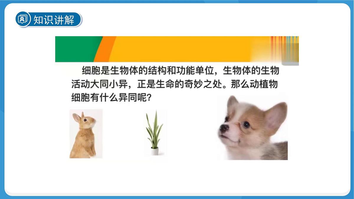 (新课标)初中科学浙教版七年级上册2.1 生物体的基本单位 第4课时课件第6页