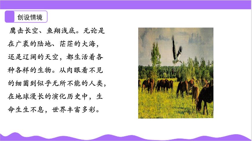 第1節(jié) 生物體的基本單位（一）-教學(xué)課件第3頁