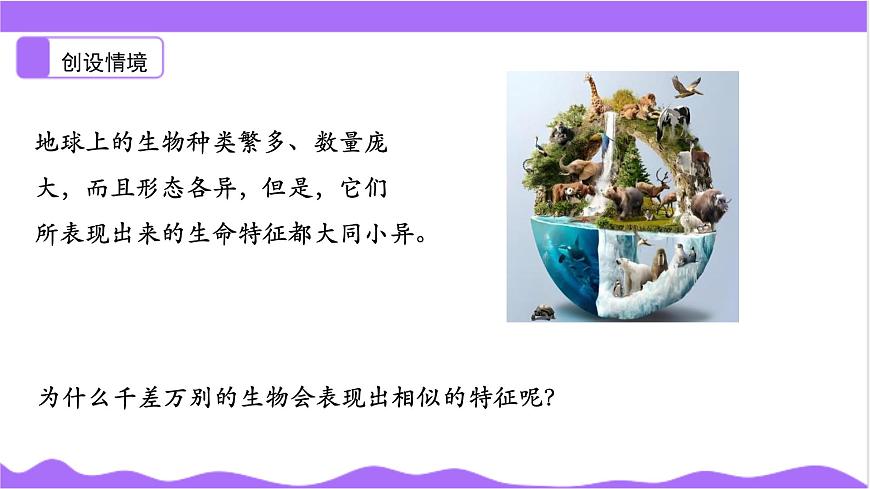 第1節(jié) 生物體的基本單位（一）-教學(xué)課件第4頁