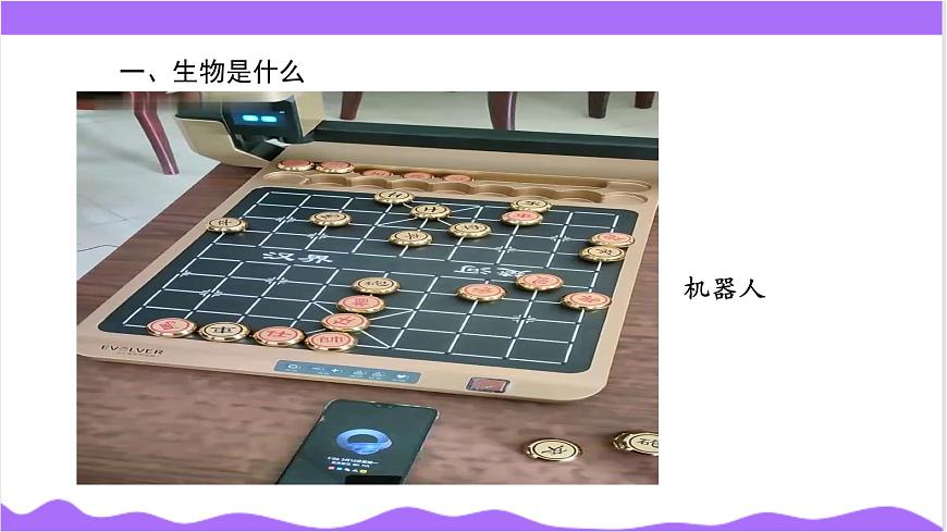 第1節(jié) 生物體的基本單位(一)-教學(xué)課件第8頁