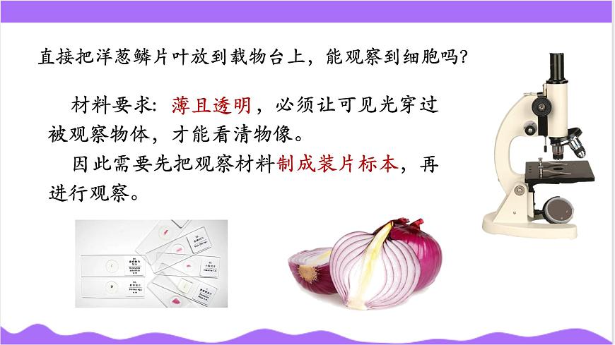 第1節(jié) 生物體的基本單位（三）-教學(xué)課件第5頁(yè)