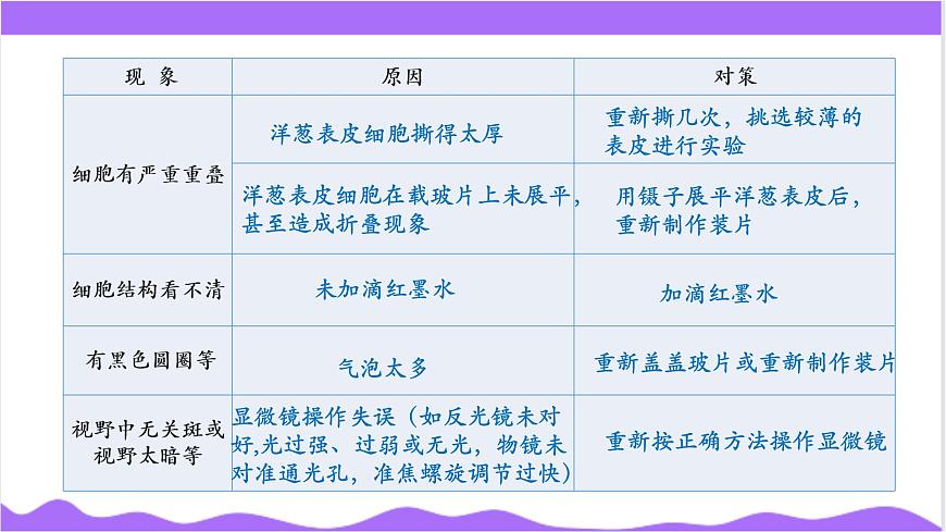 第1節(jié) 生物體的基本單位（三）-教學(xué)課件第8頁(yè)
