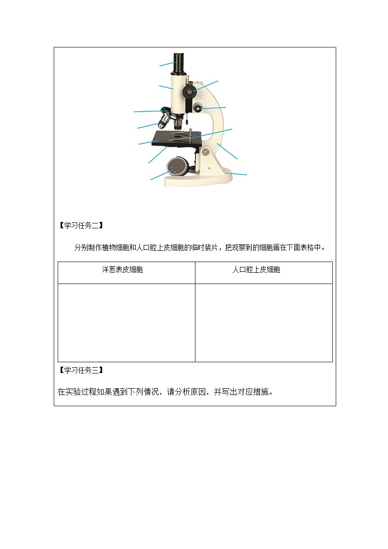 第1節(jié) 生物體的基本單位(三)-學(xué)習(xí)任務(wù)單第2頁(yè)