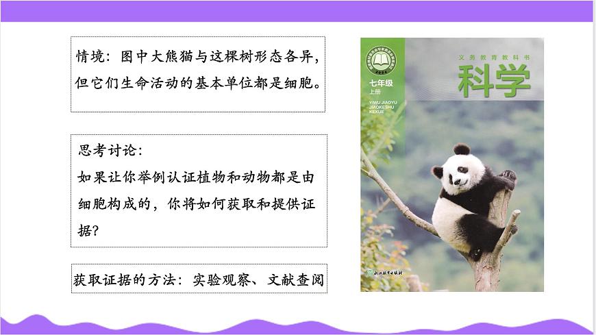 第1節(jié) 生物體的基本單位（二）-教學課件第3頁