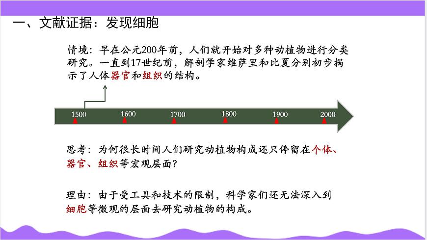 第1節(jié) 生物體的基本單位（二）-教學課件第4頁