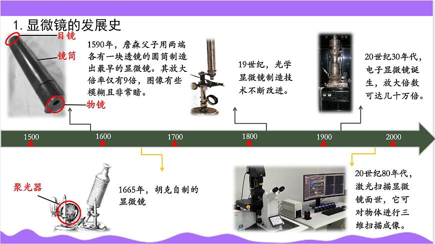 第1節(jié) 生物體的基本單位（二）-教學課件第5頁