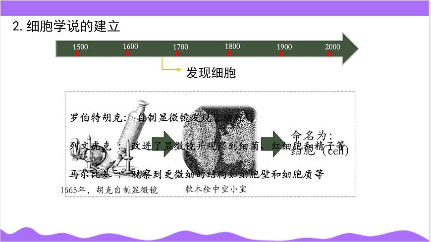 第1節(jié) 生物體的基本單位（二）-教學課件第6頁