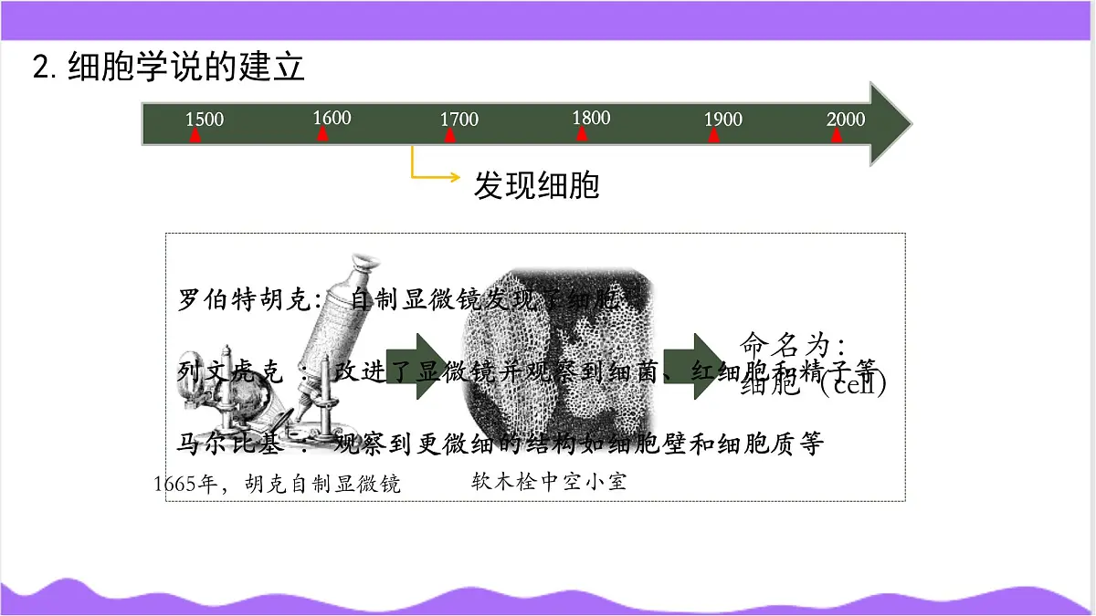 第1节 生物体的基本单位(二)-教学课件第6页