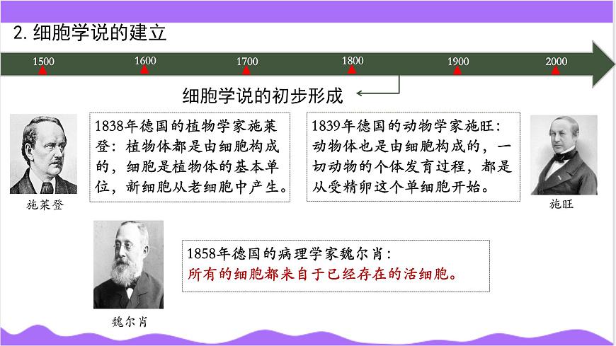 第1節(jié) 生物體的基本單位（二）-教學課件第7頁