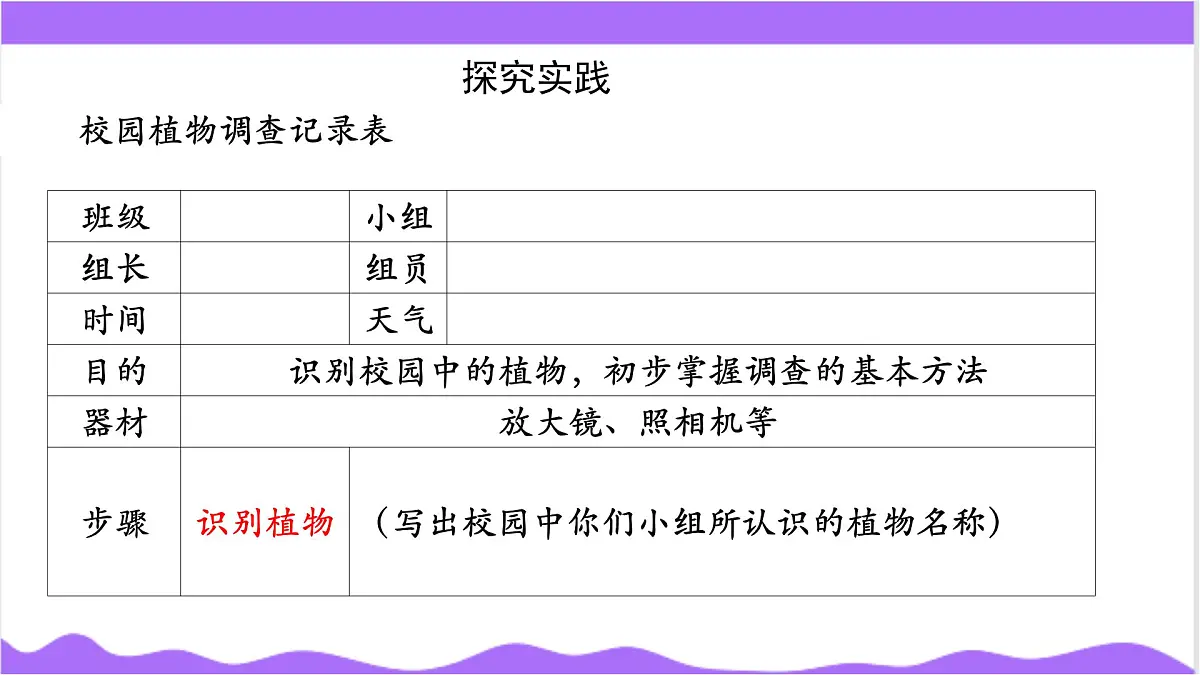 第2节 形形色色的植物(一)-教学课件第7页