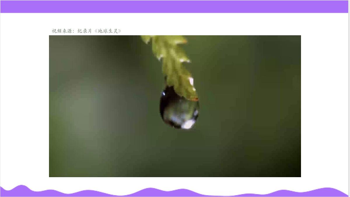 第3节 多姿多彩的动物(一)-教学课件第3页