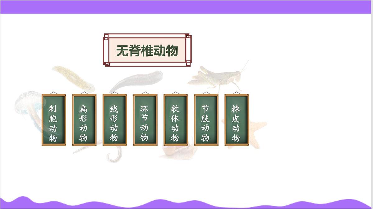 第3节 多姿多彩的动物(一)-教学课件第5页