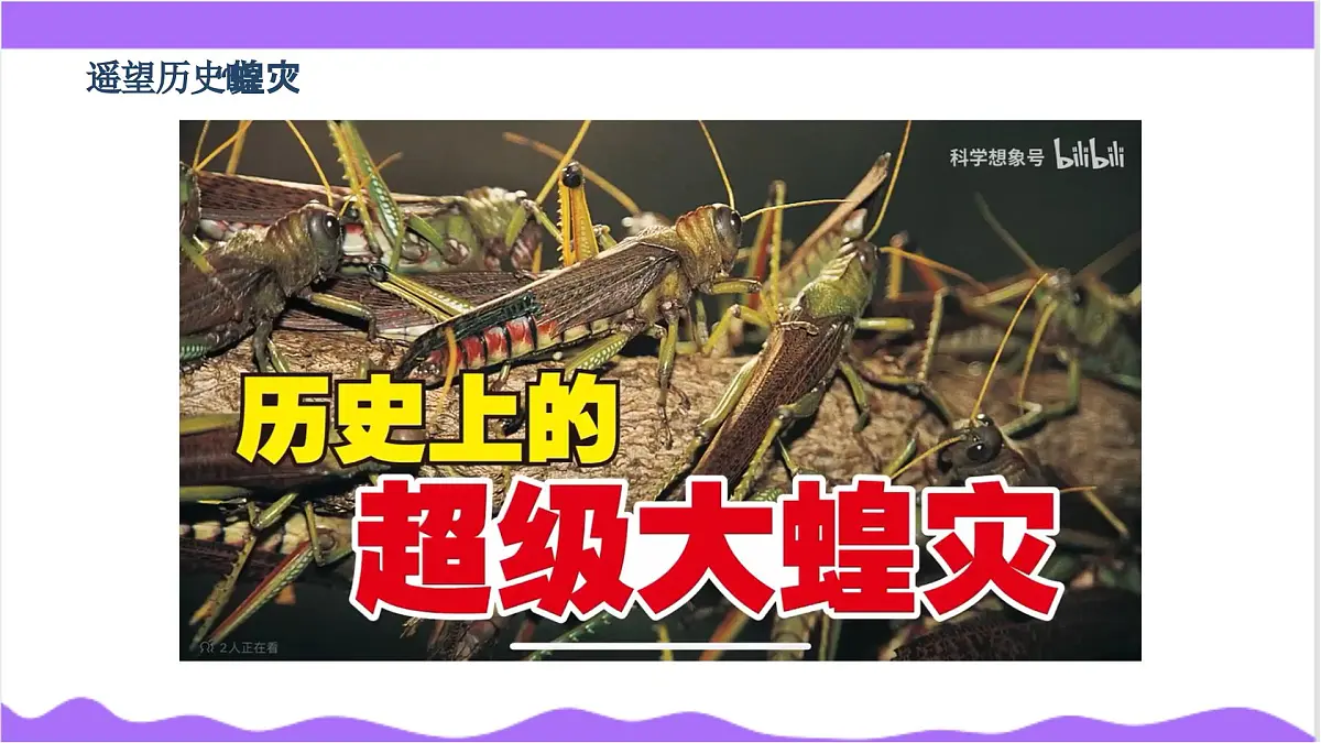第3节 多姿多彩的动物(二)-教学课件第3页