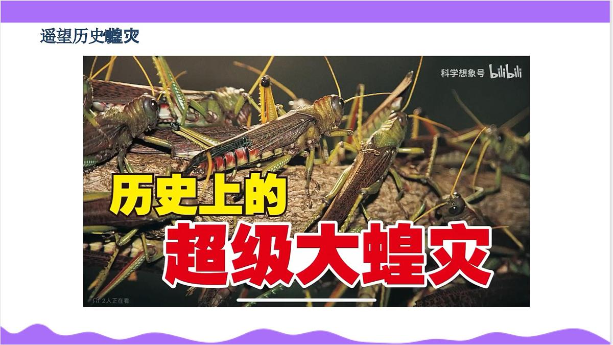 第3节 多姿多彩的动物(二)-教学课件第3页