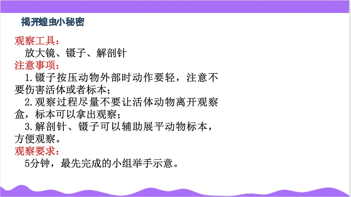 第3节 多姿多彩的动物(二)-教学课件第5页