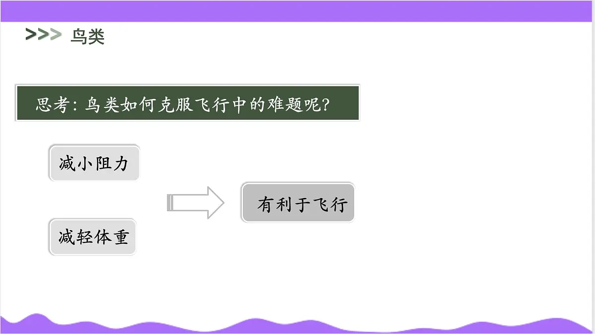 第3节 多姿多彩的动物(四)-教学课件第4页