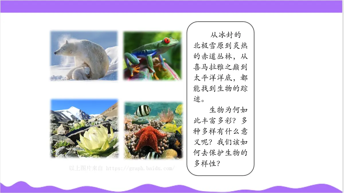 第5节 生物多样性(一)-教学课件第4页