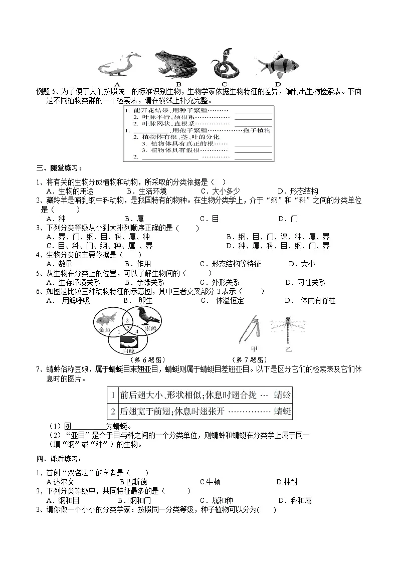 浙教版(2024版)初中科学七年级上册 2.4生物的分类 学案第2页