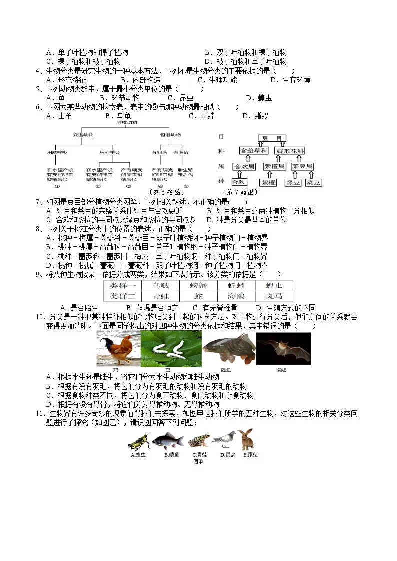 浙教版(2024版)初中科学七年级上册 2.4生物的分类 学案第3页