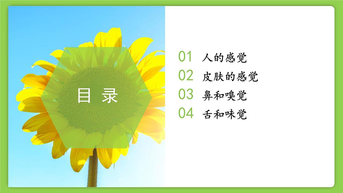 1.1 感觉世界 (培优教学课件)科学浙教版2024八年级上册第2页