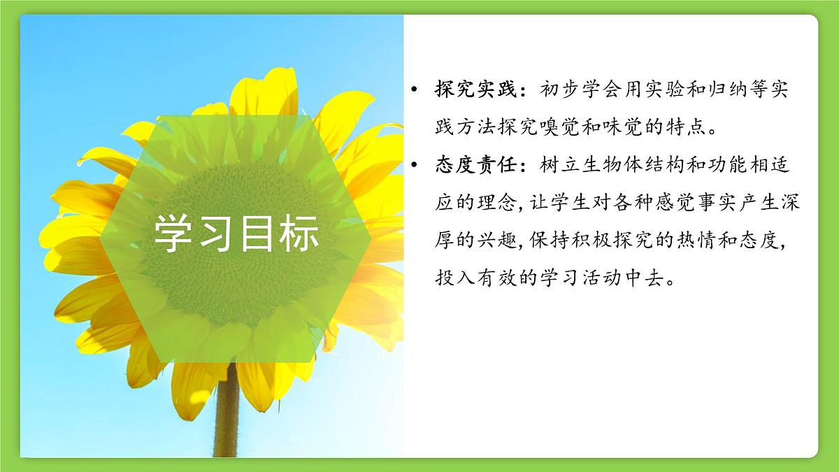 1.1 感觉世界 (培优教学课件)科学浙教版2024八年级上册第4页