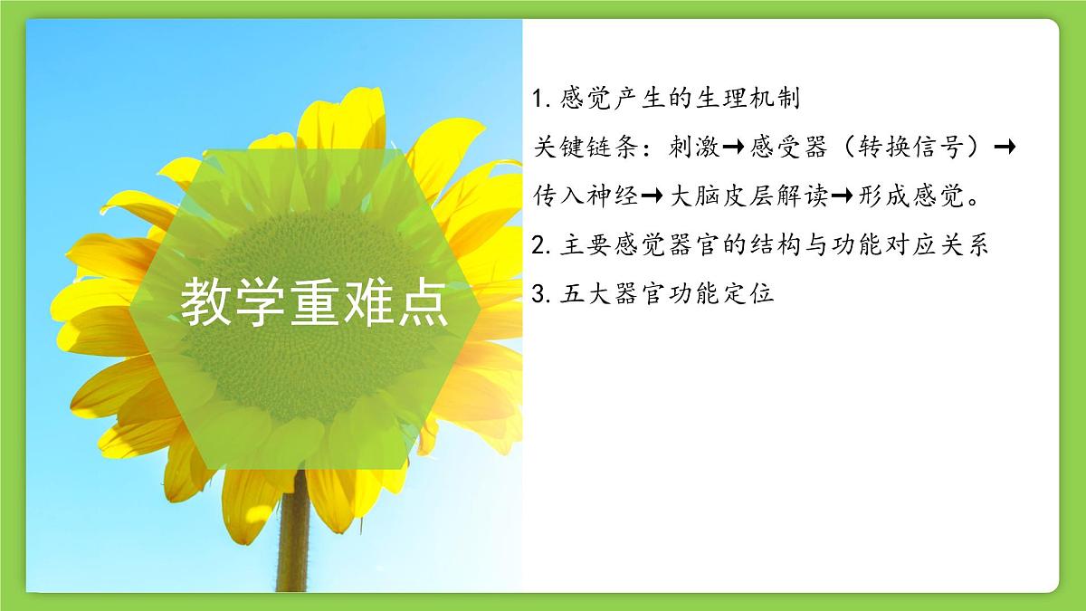 1.1 感觉世界 (培优教学课件)科学浙教版2024八年级上册第5页