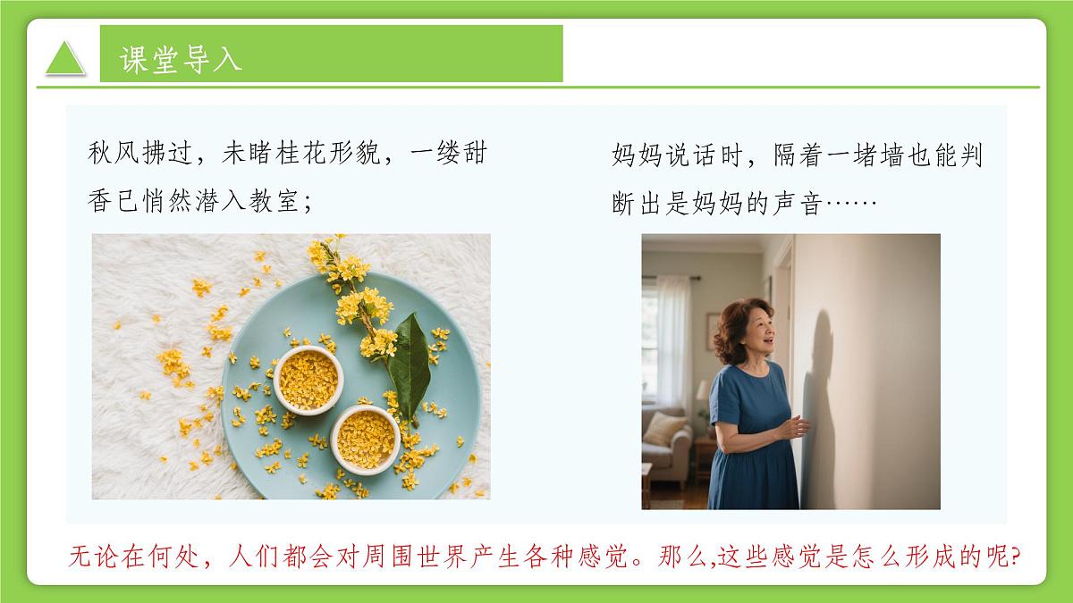 1.1 感觉世界 (培优教学课件)科学浙教版2024八年级上册第6页