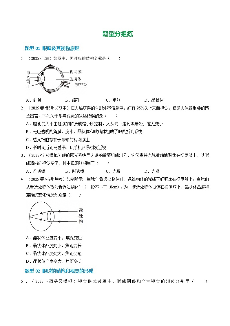 第5節(jié) 透鏡和視覺(第3課時)(培優(yōu)考點練)(原卷版)第2頁