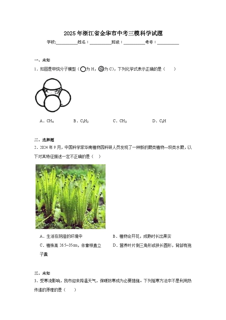 2025年浙江省金华市中考三模科学试题（无答案）