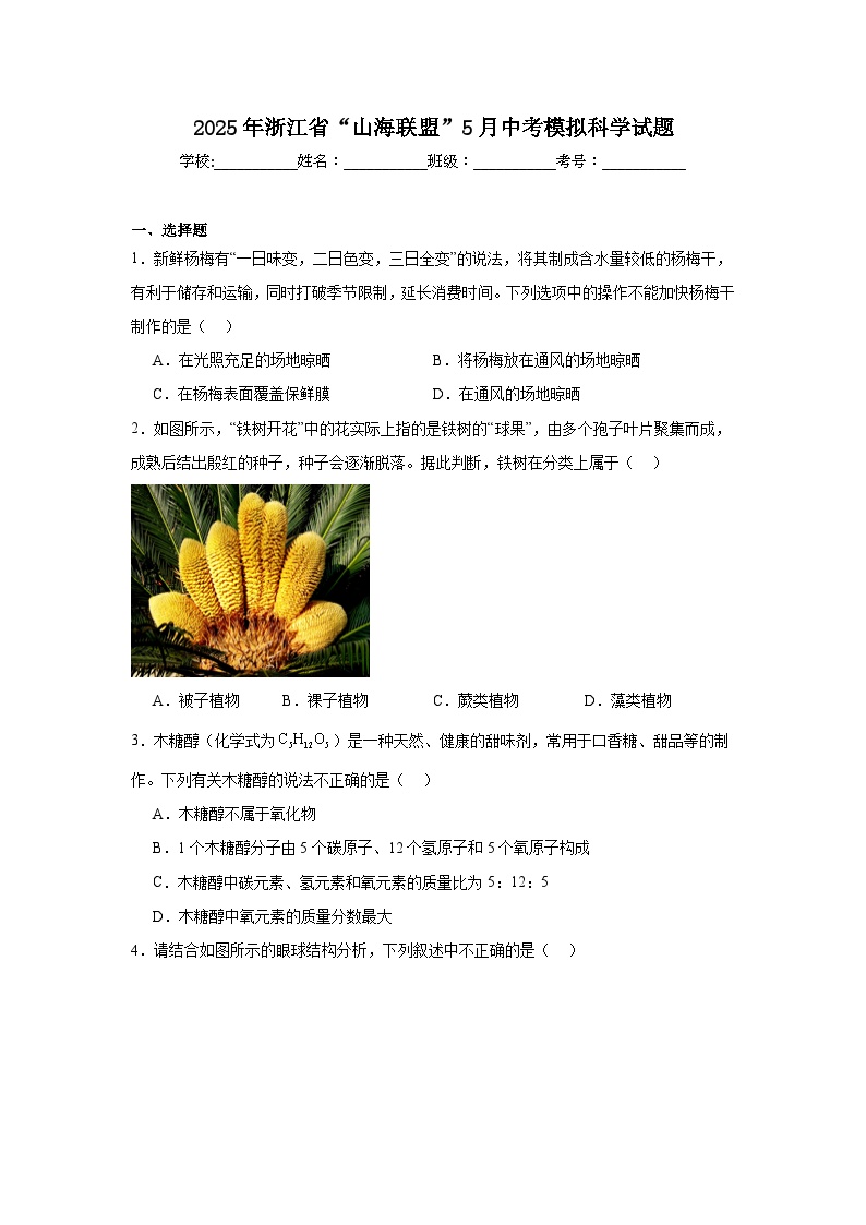 2025年浙江省“山海联盟”5月中考模拟科学试题（附答案解析）