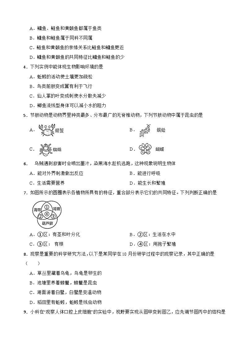 2025-2026学年浙江省浙教版2024七年级科学上册 第2章 丰富多彩的生命世界单元基础测试(有答案)第2页