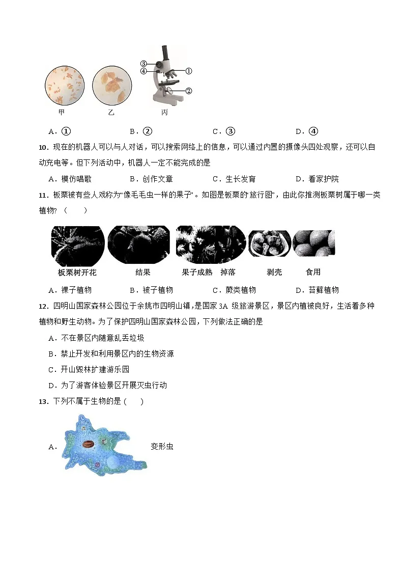 2025-2026学年浙江省浙教版2024七年级科学上册 第2章 丰富多彩的生命世界单元基础测试(有答案)第3页