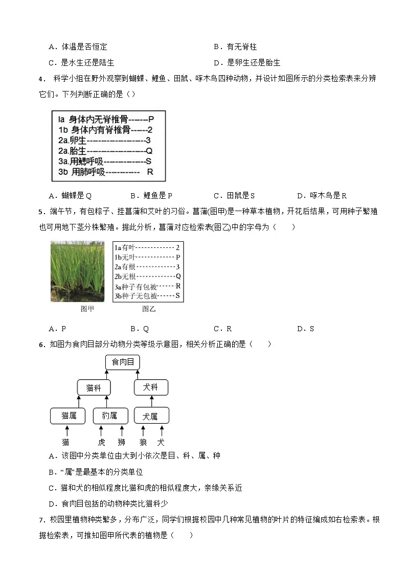 2025-2026浙教版七年级科学上册 上2.4生物的分类 同步练习(有答案)第2页