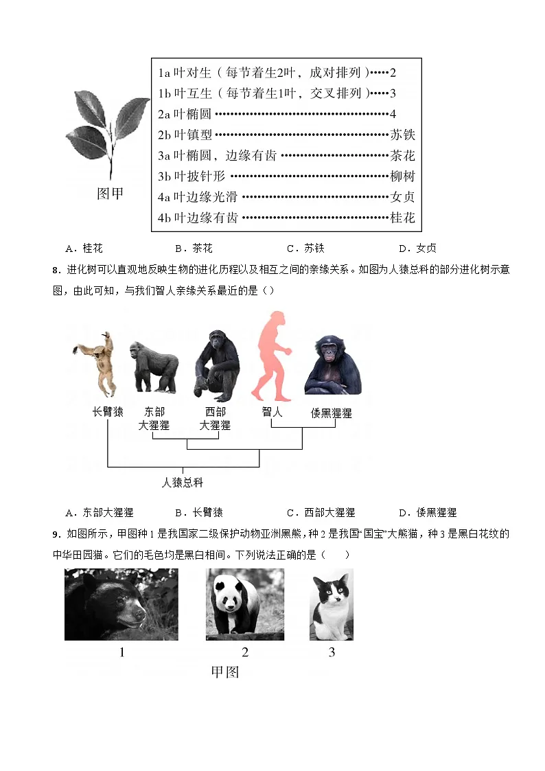 2025-2026浙教版七年级科学上册 上2.4生物的分类 同步练习(有答案)第3页