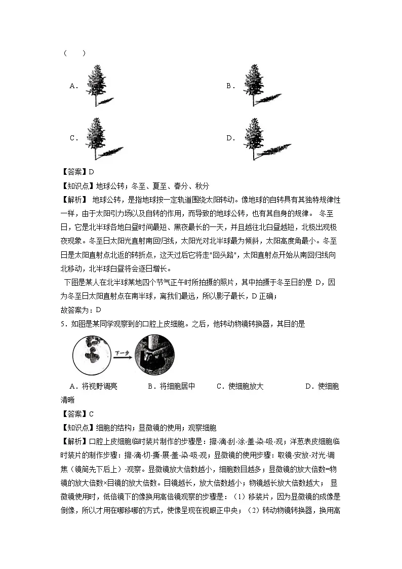浙江省温州市实验中学2024-2025学年七年级上学期期末科学试卷(解析版)第3页